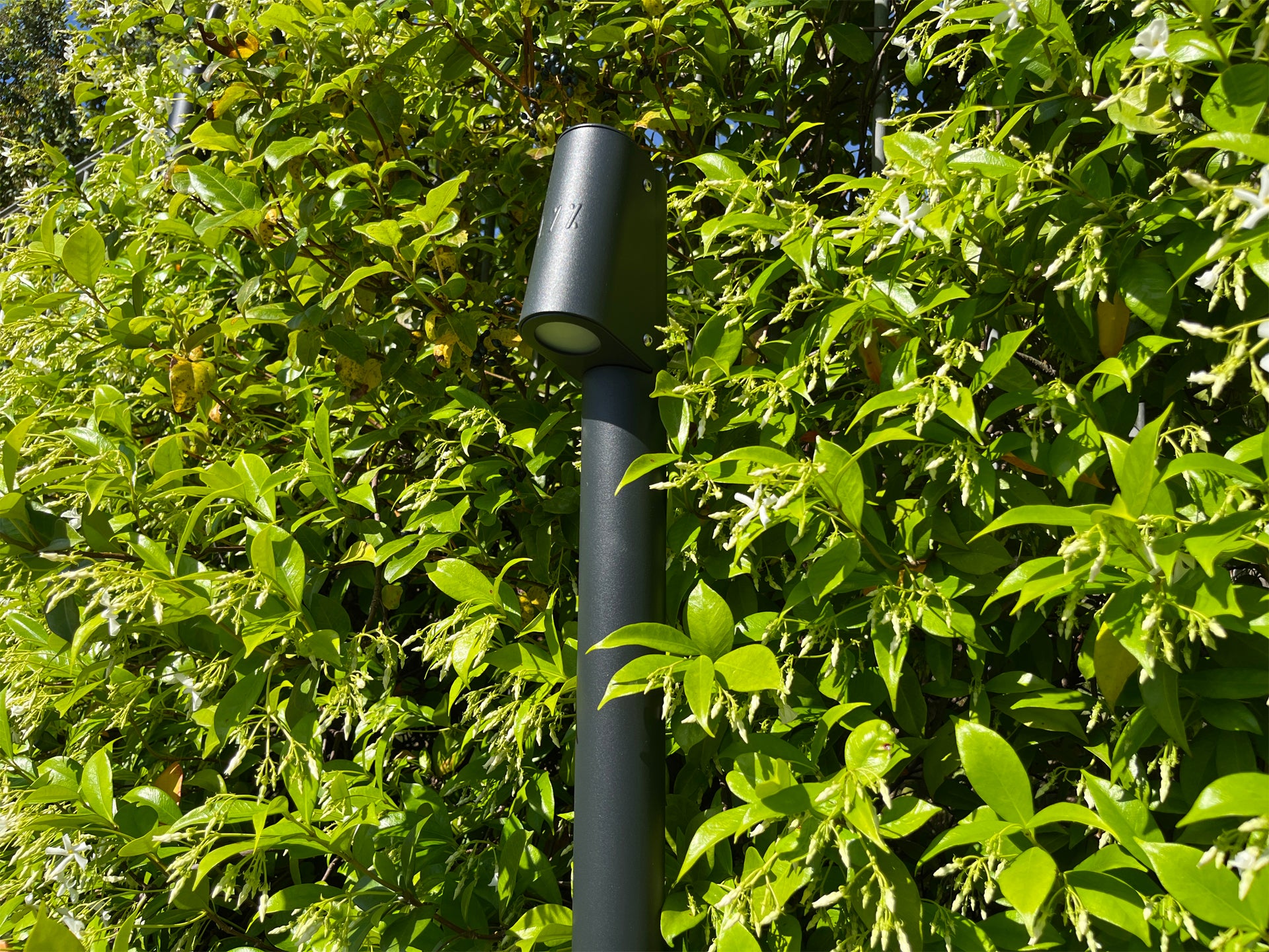 Solar wall light test