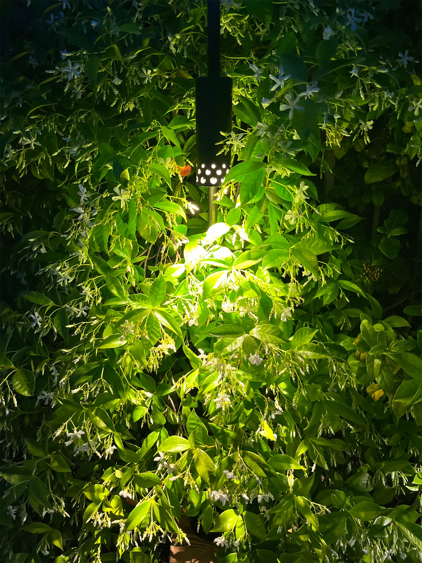 ELYXIR light bollard