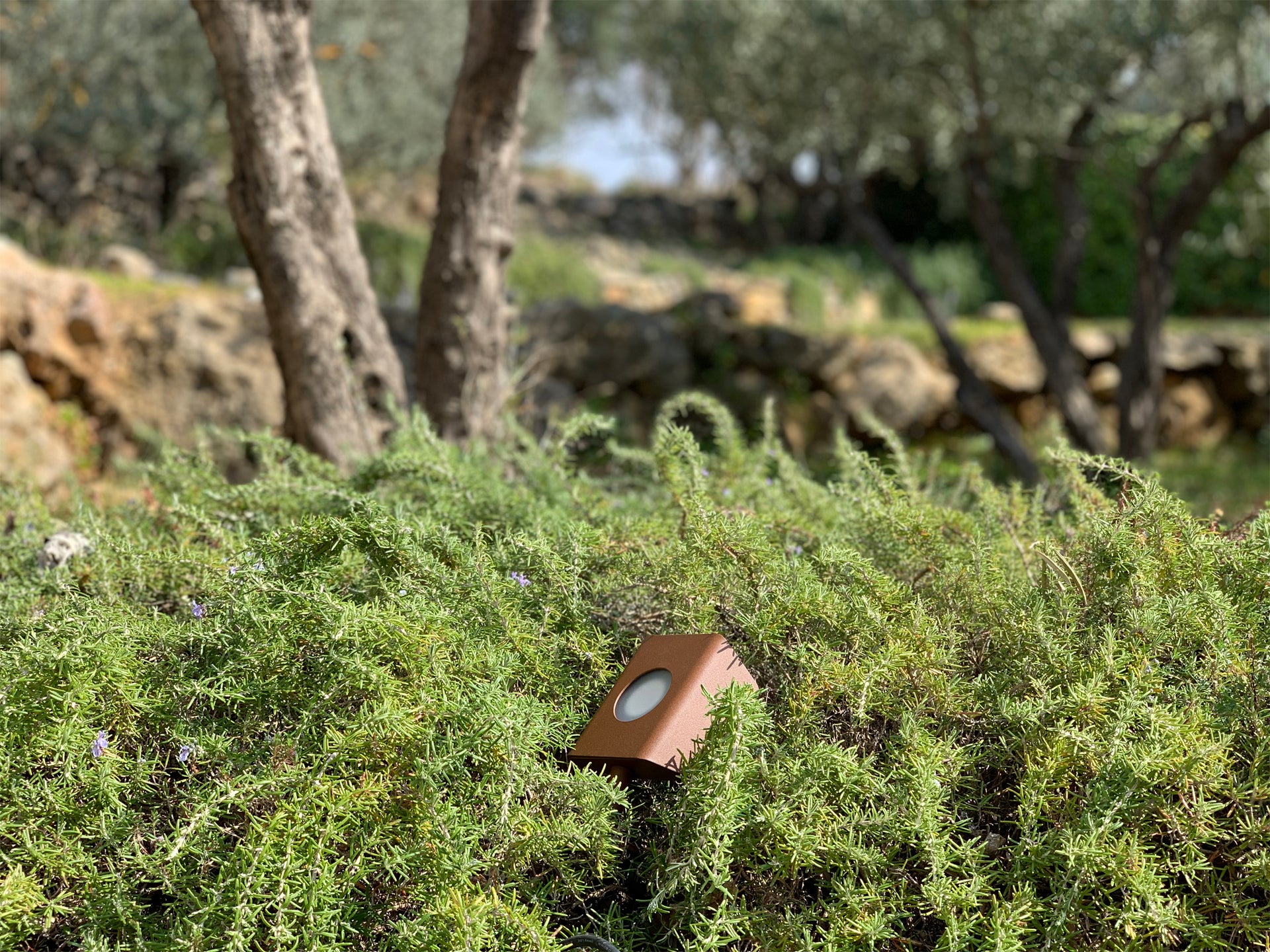 Solar wall light test